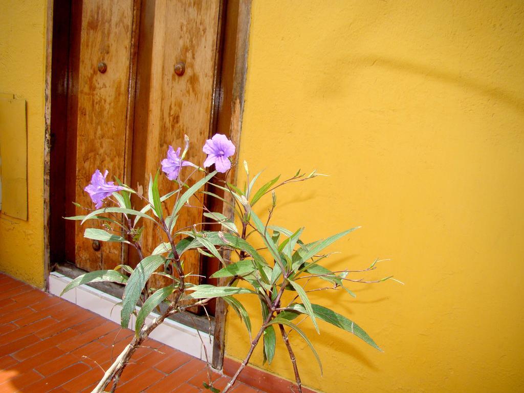 Hotel Casa Vieja Santa Marta  Exterior photo